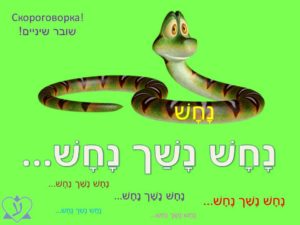 Как учить иврит? Учим новые слова на иврите с помощью скороговорок.