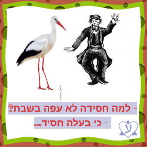 Учим язык иврит с юмором. Анекдот про хасида